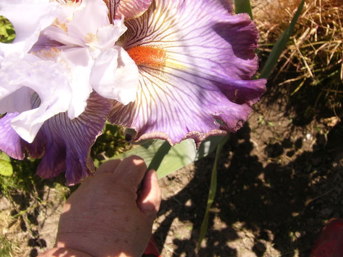 P1250897