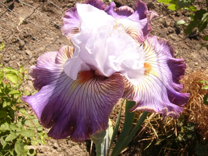 P1250898
