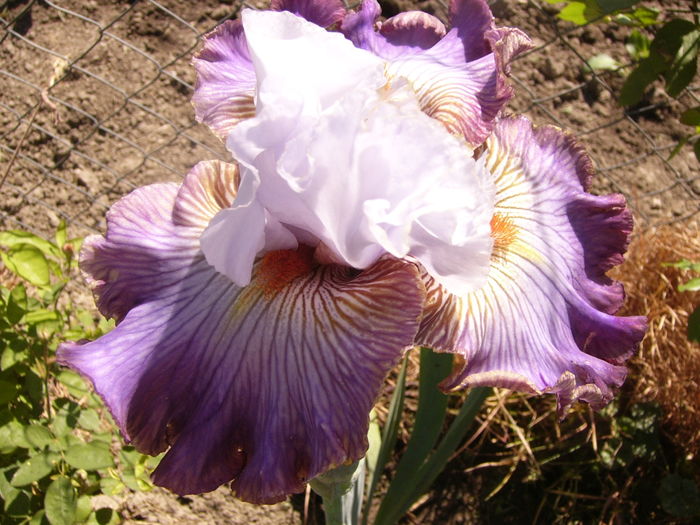 P1250899