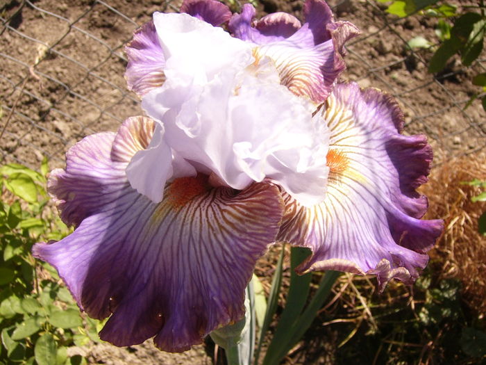 P1250900