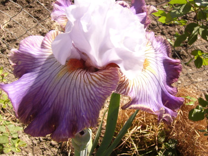 P1250901
