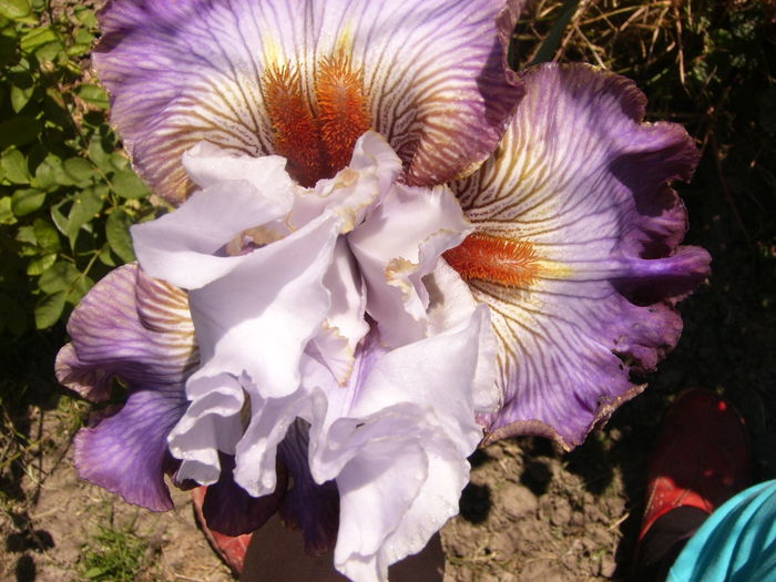 P1250902