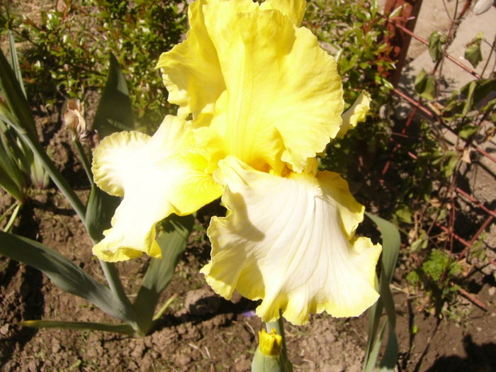 P1260002