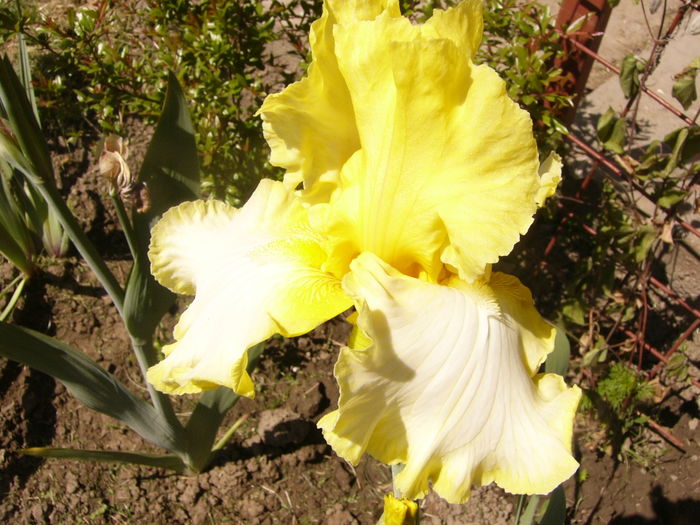 P1260003