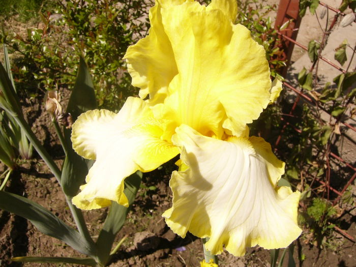 P1260004