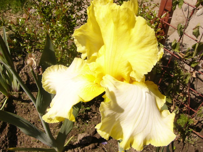 P1260005