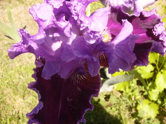 P1260015