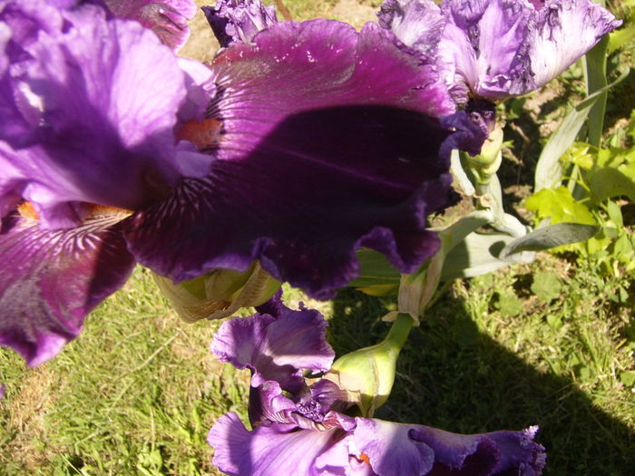 P1260017
