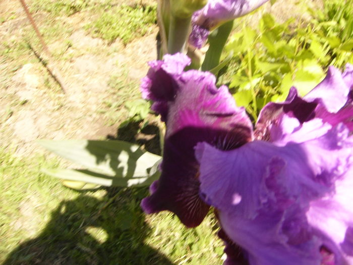 P1260018