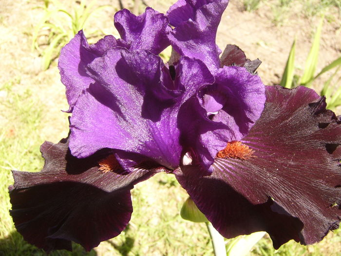 P1260022