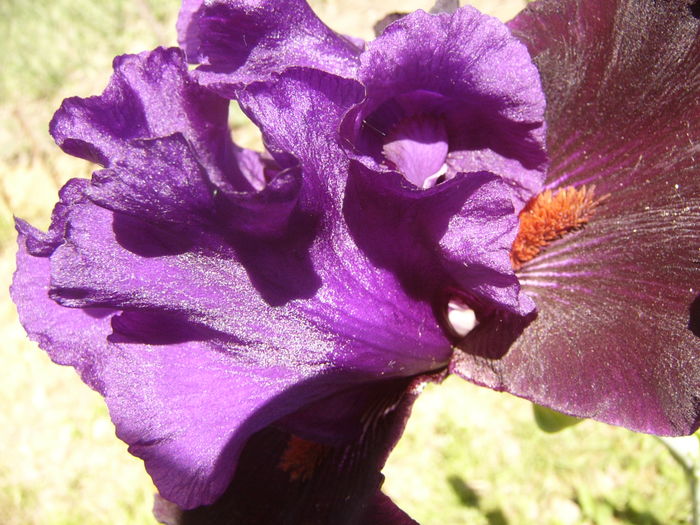 P1260025