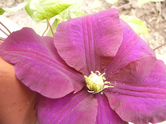 P1260032