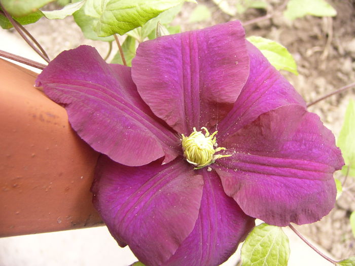 P1260033