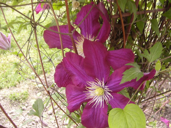 P1260037