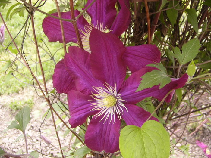 P1260036