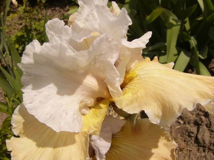 P1260054