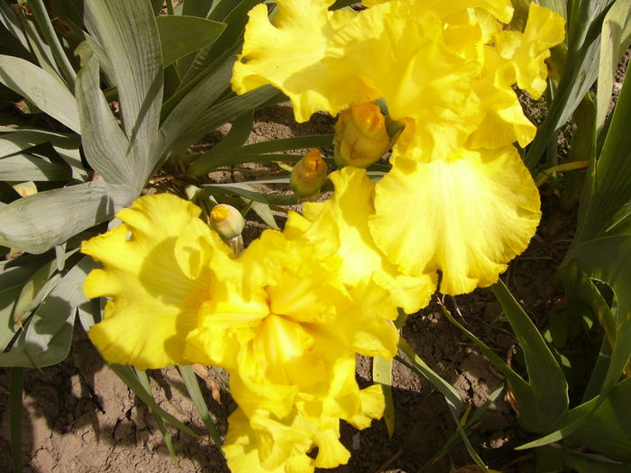 P1260069
