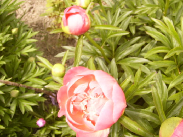 P1260088