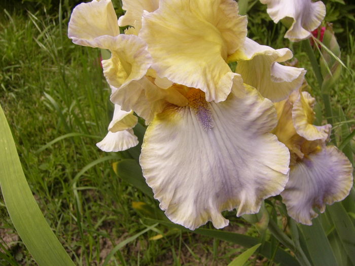 P1260102