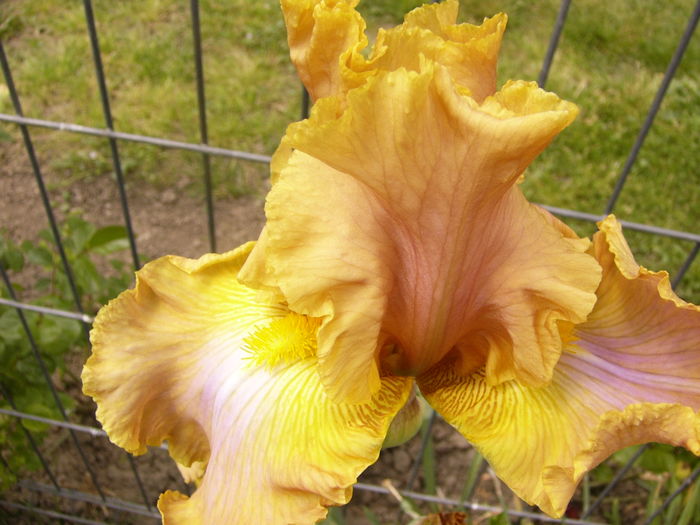 P1260135