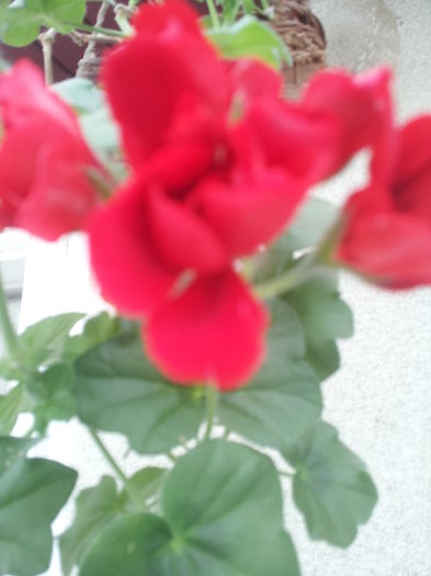 20000101_052954