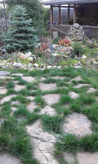 143 - GRADINA MEA inceputuri