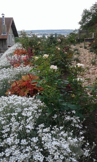 140 - GRADINA MEA inceputuri