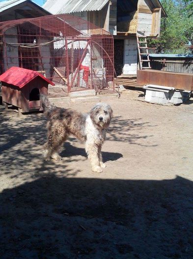 received_226331461062937 - paza casei