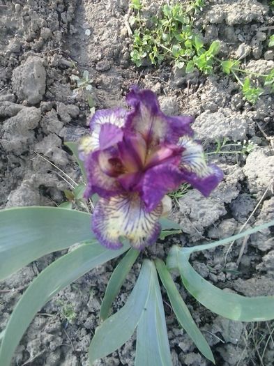 20160506_182658