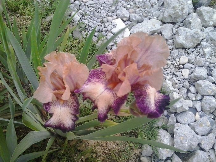 20160506_200246