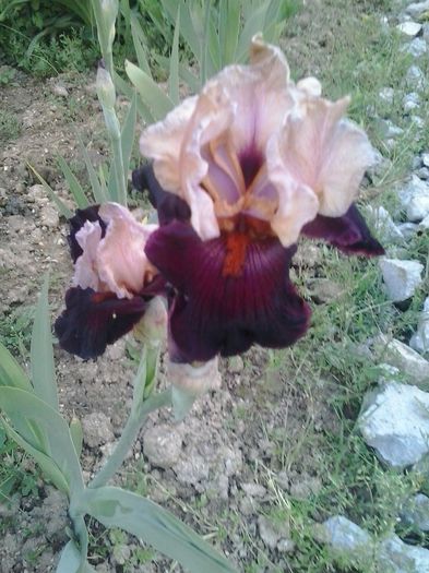 20160506_200254