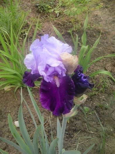 20160508_100806