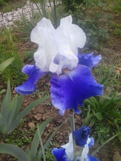 20160508_100823