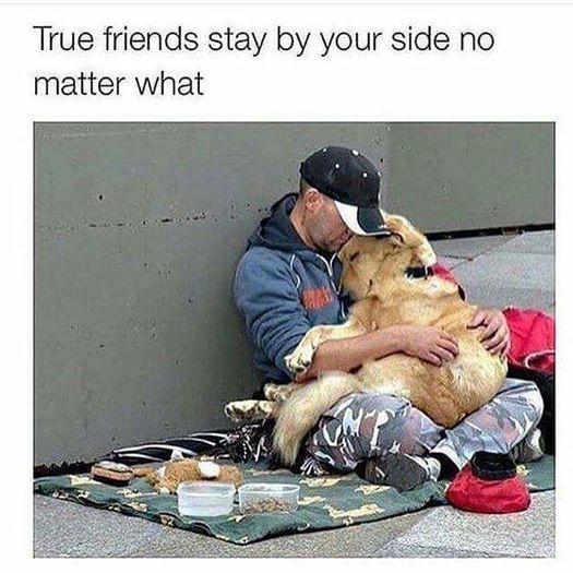  - x i m givin up on u