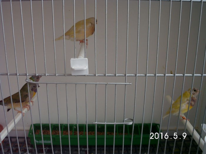 s a marit familia.....