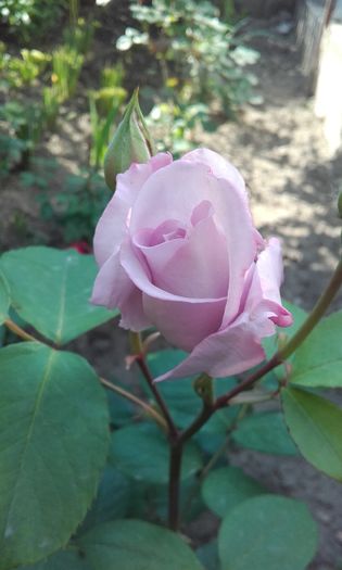 20160508_171443