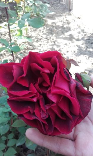 20160508_171457