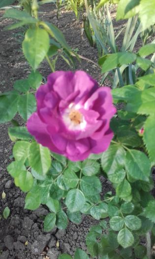 20160508_190613