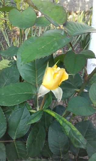 20160508_190713