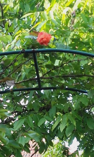 20160508_190758