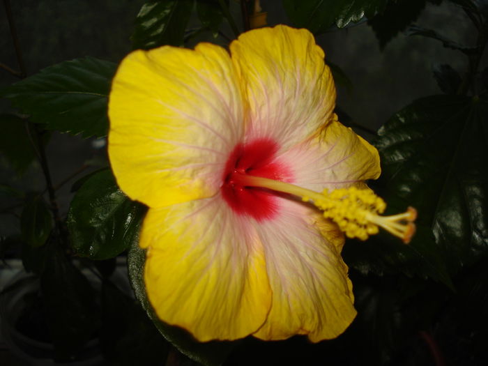 DSC05338