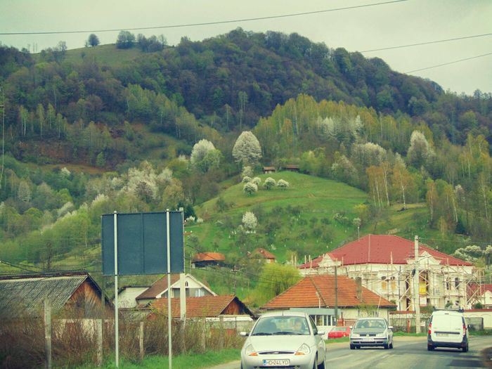 palatul lui guta... - Petrosani si Aninoasa