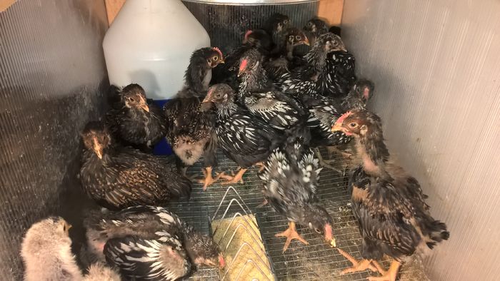 WP_20160509_22_52_47_Pro