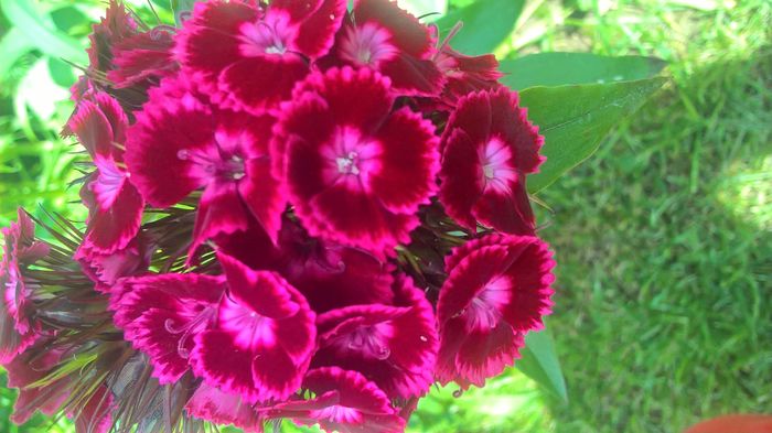 WP_20160507_13_00_37_Pro