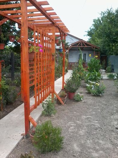 11825885_496806003818868_3882638825788693672_n - Gradina cu flori