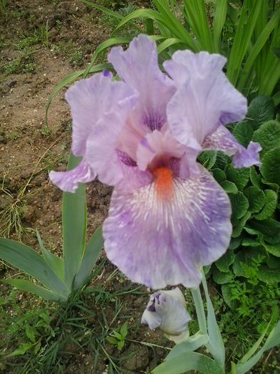 20160509_160813