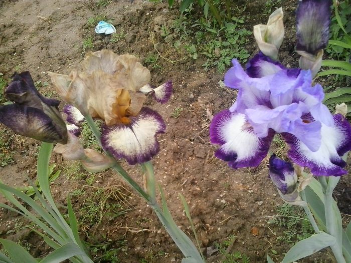 20160509_160952