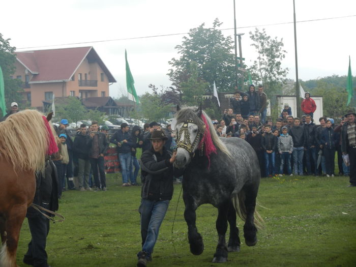 DSCN2184