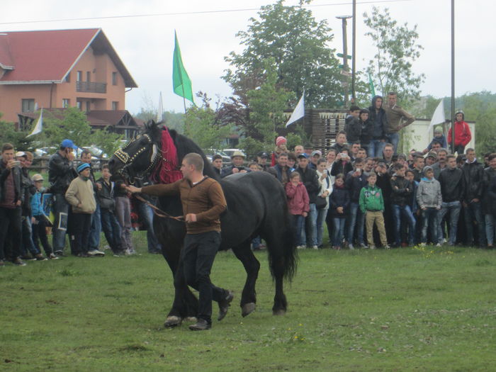 IMG_5236 - TARG DE CAI - HORODNICUL DE SUS - MAI 2016