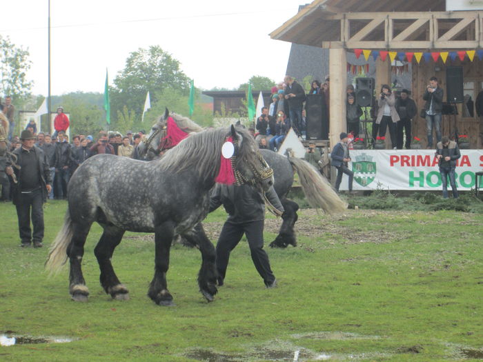 IMG_5242 - TARG DE CAI - HORODNICUL DE SUS - MAI 2016